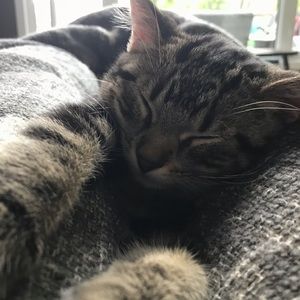 Meet your Posher, Kaylee